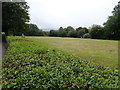 SO0506 : Thomastown Park Recreation Ground by Eirian Evans
