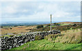 Small enclosures at Parc-newydd