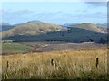 View north-east from Carter Bar