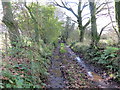 Llwybr Penclyn / Penclyn Path