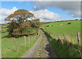 Llwybr Brynceir / Brynceir footpath