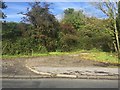 Disused farm track