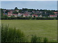 Field next to Colsterworth and the River Witham