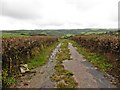 Farm Track above the Taw Valley