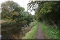 Chesterfield Canal near bridge #54A