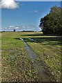 Nottinghamshire Farmland