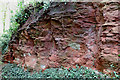 SO8297 : Red sandstone exposure south of Pattingham, Staffordshire by Roger  Kidd