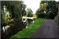 Chesterfield Canal towards bridge #51