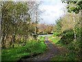 Path approaching A82