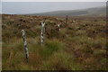 NH5588 : Fence on the Moors above Gledfield, Strath Carron, Ross-shire by Andrew Tryon