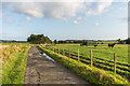 NU1336 : South of Ross Farm by Ian Capper