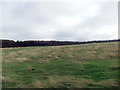 Field near Rothwell Top Farm