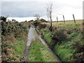 Heol las dan ddwr / A flooded green road