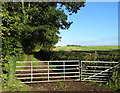 Gated farm track off Highfield Road