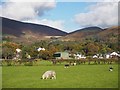 Skiddaw in shades of Autumn