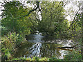 Weir on the Cawthorne Dike - top view 