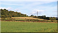 Staffordshire farmland south-east of Pattingham