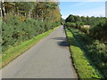 Minor road beside Coe Wood at Hill of Coe