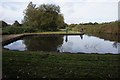 Chesterfield Canal towards bridge #41C