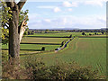 SO8297 : Flat farmland south of Pattingham in Staffordshire by Roger  D Kidd