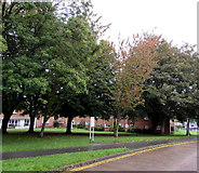 ST1480 : Tree-lined part of Hollybush Estate, Cardiff by Jaggery