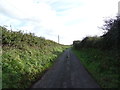 Lane near Kingsfold