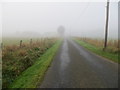 NJ7314 : Minor road blanketed in October mist approaching Oatlands by Peter Wood