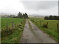 Track leading to Mossend