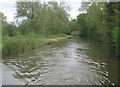 Oxford Canal: Reach near the former Adderbury Wharf