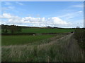 SN0102 : Fields near the Old Rectory by JThomas
