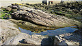 Reflection in a Rock Pool