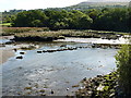 SN0639 : Stepping stones across the Afon Nyfer by Richard Law