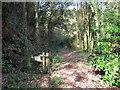 Llwybr i Afon Cothi / Path to the Cothi river