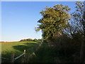 Bridleway to Stoke Rochford