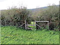 Llwybr i Felingwm Uchaf / Path to Felingwm Uchaf