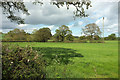 Farmland near Hardington Marsh