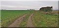 Farmland near Westwoodside