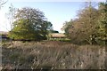 Wetland, Greenknowe