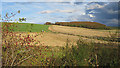 Fields near Bogmill