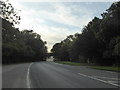 Ashford Road near Lenham