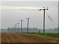 Power lines in a field boundary