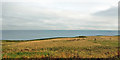 Coastal land north of Berwick