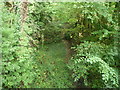 The Hereford, Hay and Brecon Railway Line (Whitney-on-Wye)