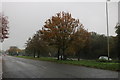 Marlborough Road, Swindon