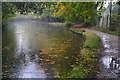 Rainy day on the Basingstoke Canal at Mytchett