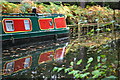 Autumnal reflections in the Basingstoke Canal