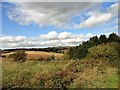 NZ2545 : Countryside view towards Sacriston by Robert Graham