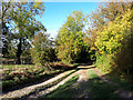 Track to Lower Upham Farm