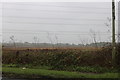 Field by Abingdon Road, Didcot