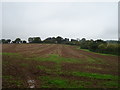 Field off Chepstow Road, Langstone